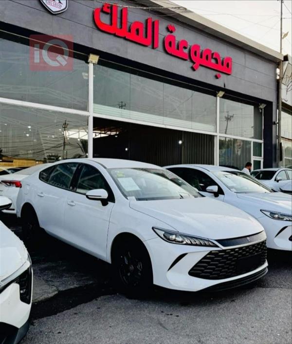 بي واي دي Qin Plus 2025 للبيع في العراق -  بغداد